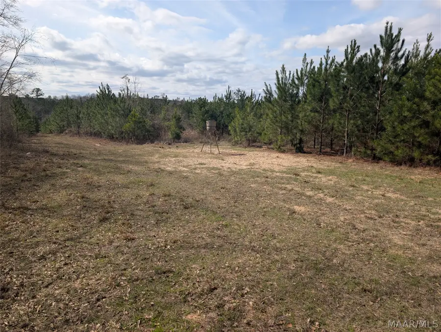 0 Butter And Egg Road, Troy, AL 36081 - #3