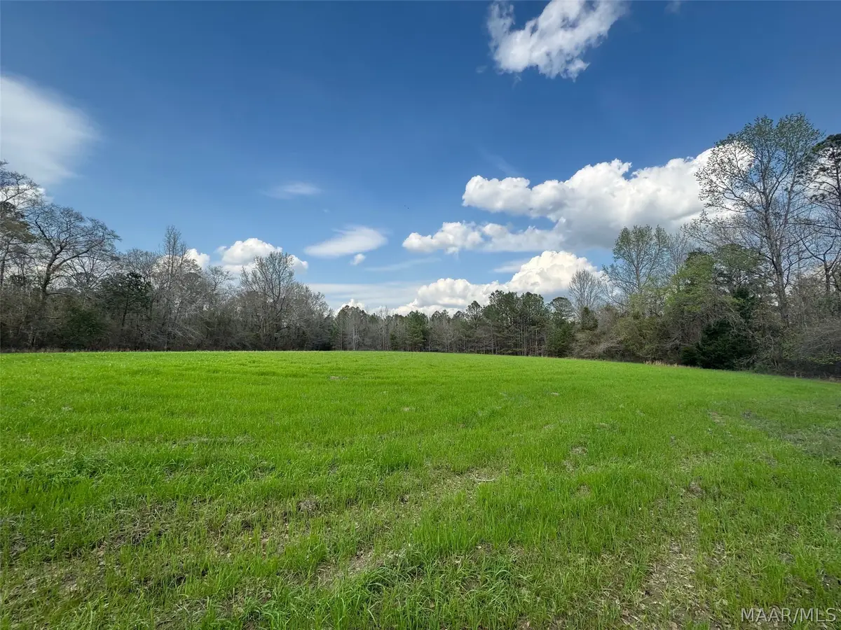 1 Highway 80 Highway, Auburn, AL 36830 - #1