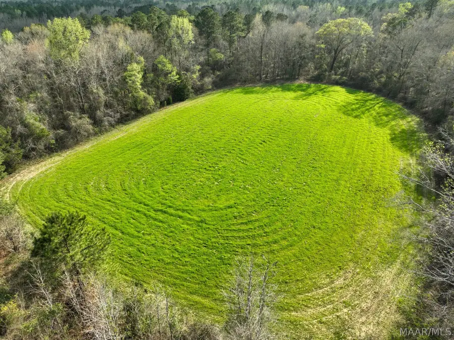 1 Highway 80 Highway, Auburn, AL 36830 - #2