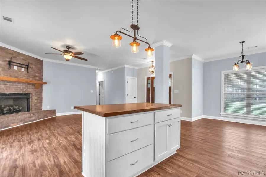 920 Lake Point Road, Eclectic, AL 36024 - #3