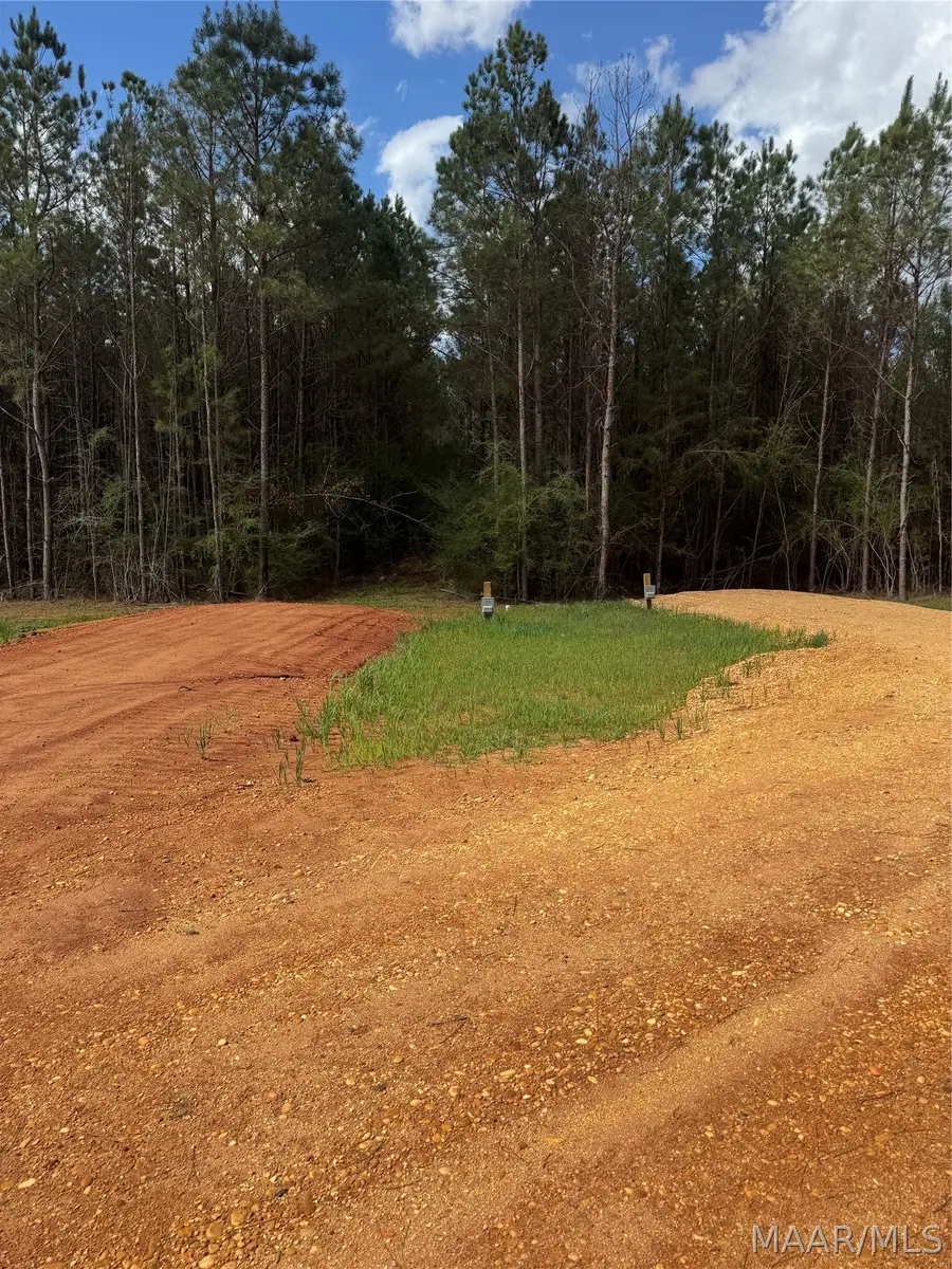 8 Camden Bypass, Camden, AL 36726 - #2