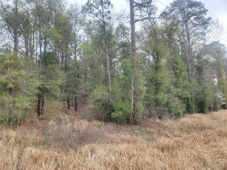 1 Pleasant Hill Road, Gilbertown, AL 36908 - #2