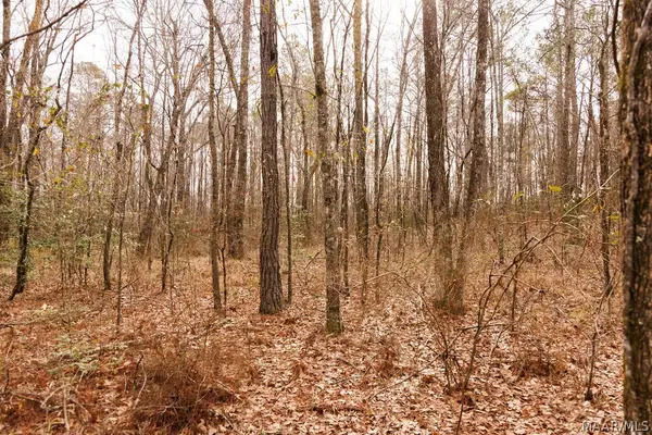 3 Jug Factory Road, Redland, AL 36093