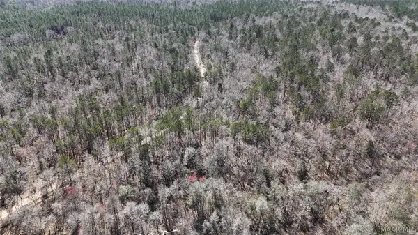 00 Old Meriwether Trail, Panola, AL 36037