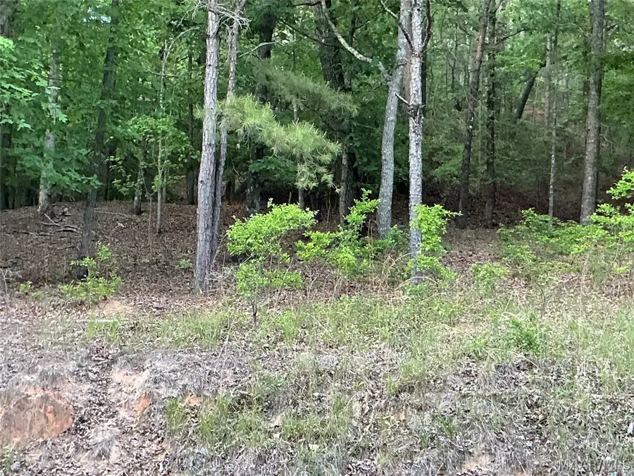 148 Jasmine Ridge Road, Wetumpka, AL 36093 - #2