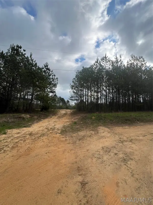 0000 Highway 82 Highway, Billingsley, AL 36066