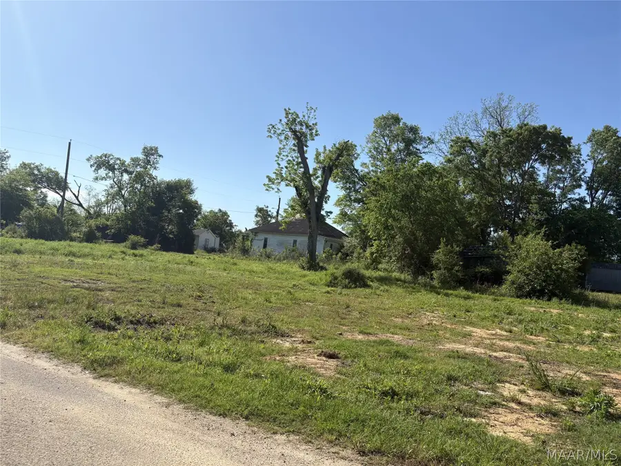 1714 Minter Avenue, Selma, AL 36703 - #3