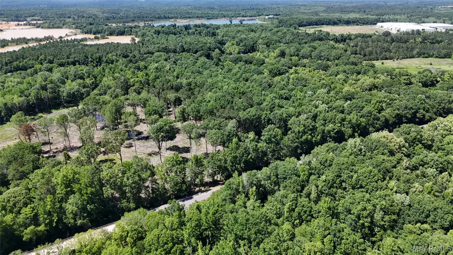 42 Highway 80 Acres, Shorter, AL 36075 - #3