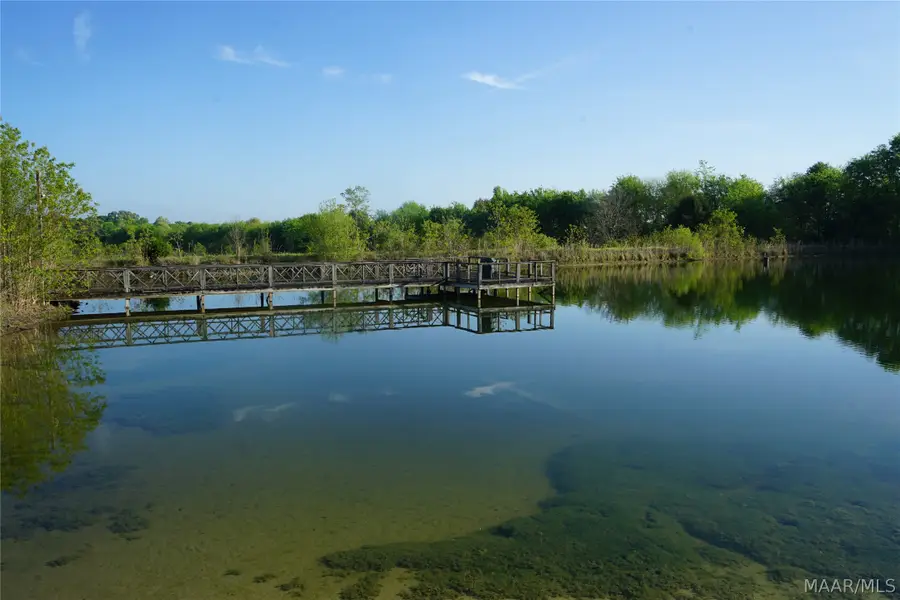 0 Milly Branch Road, Pike Road, AL 36064 - #2