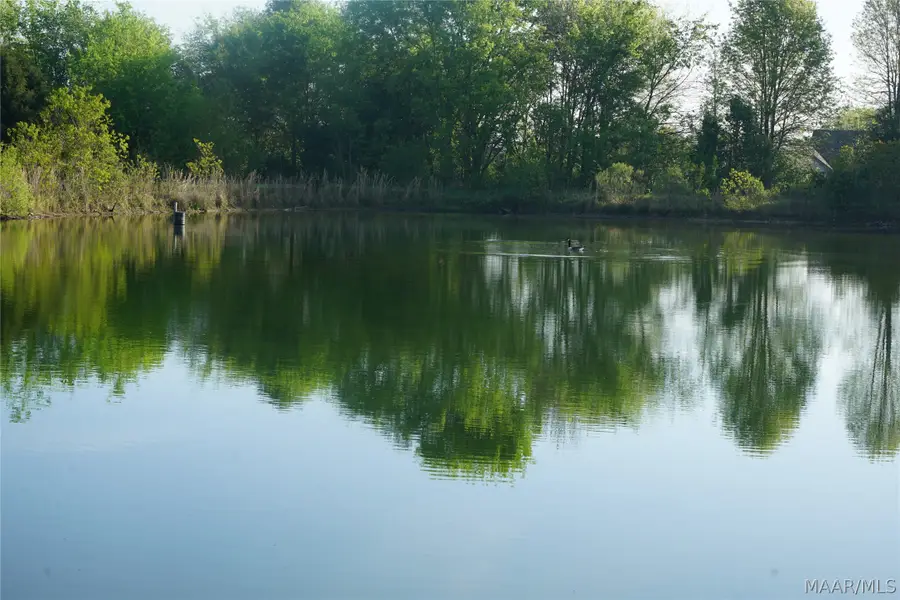 0 Milly Branch Road, Pike Road, AL 36064 - #3