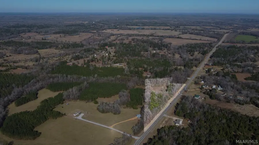 LOT 4 Highway 21 Highway, Hayneville, AL 36040 - #2