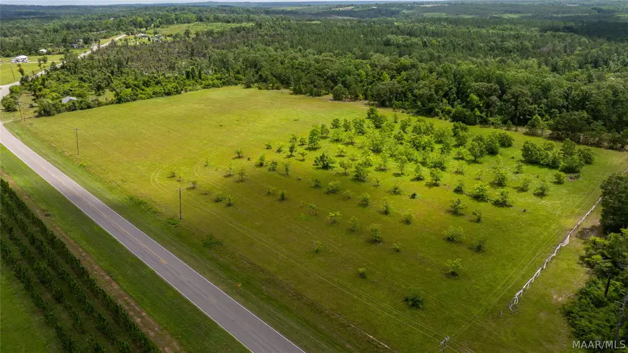 8 County Road 57, Pine Level, AL 36022 - #2