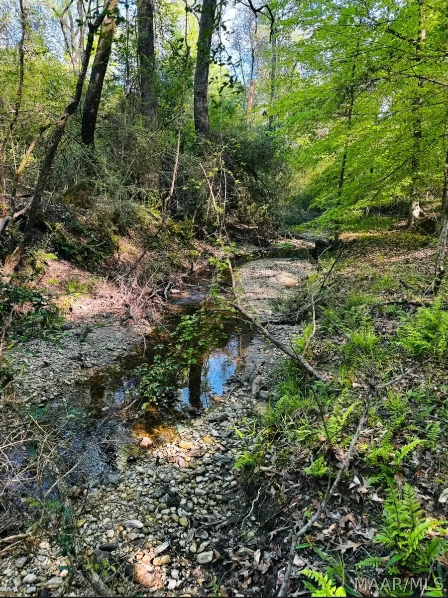 345 St Thomas Avenue, Wetumpka, AL 36093 - #2