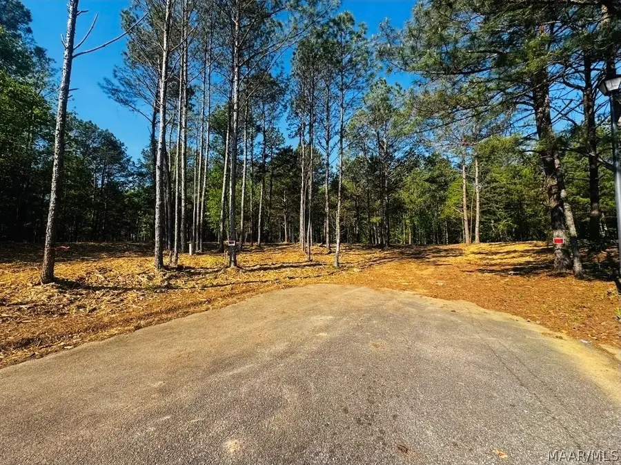 345 St Thomas Avenue, Wetumpka, AL 36093 - #3