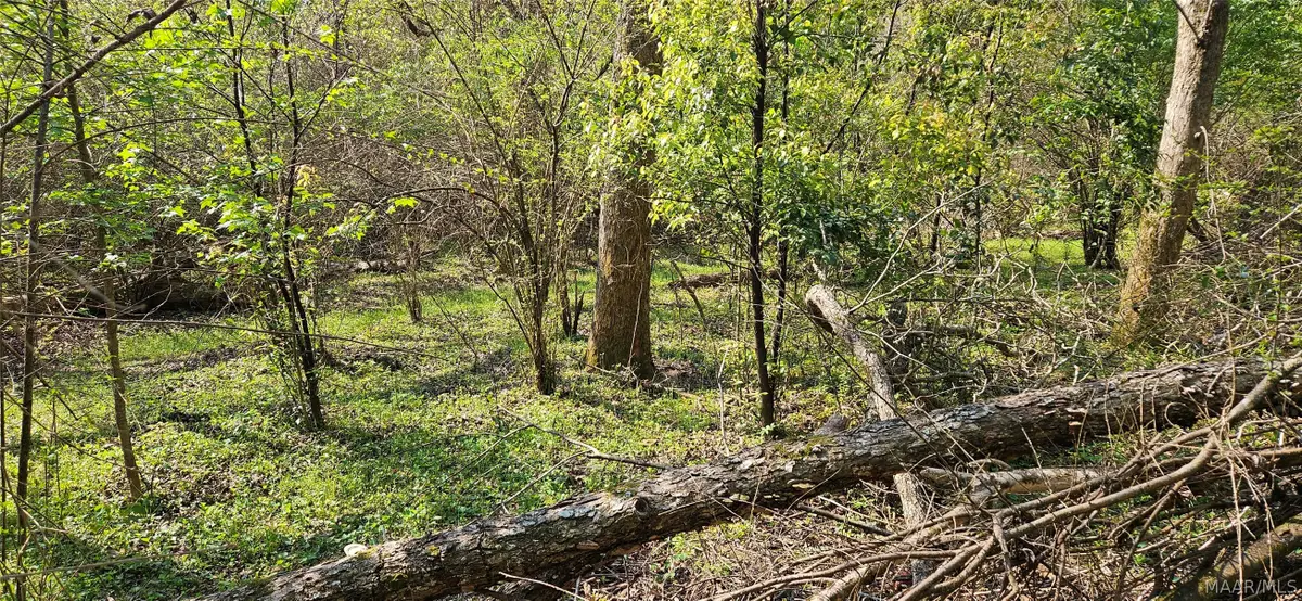 0 Windmill Road, Fairhope, AL 36532 - #1