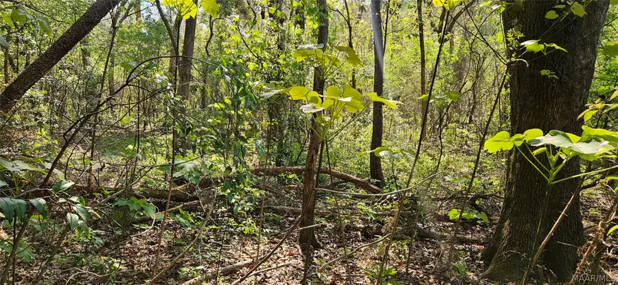 0 Windmill Road, Fairhope, AL 36532 - #2