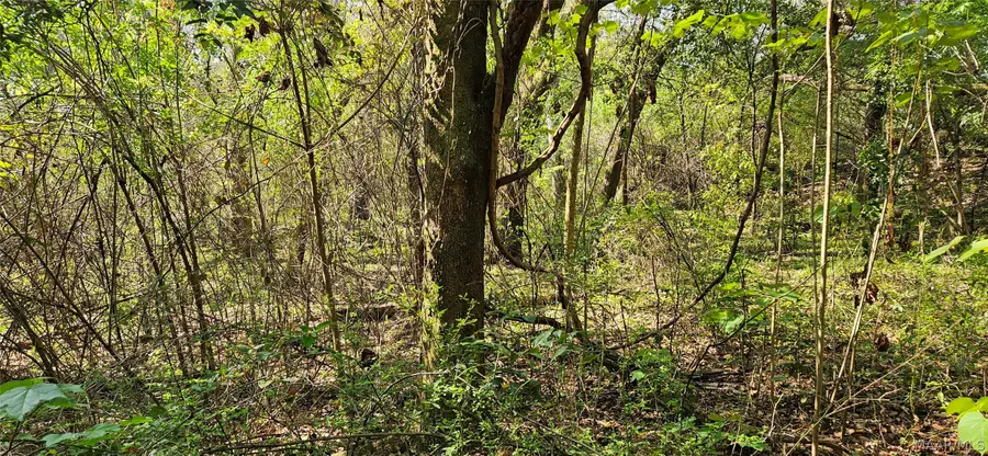 0 Windmill Road, Fairhope, AL 36532 - #3