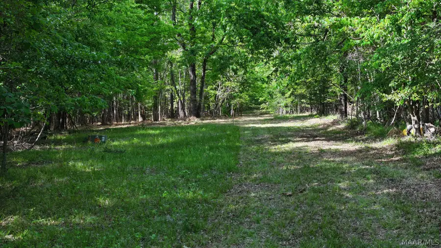 263 Edgewood Court, Mathews, AL 36052 - #3