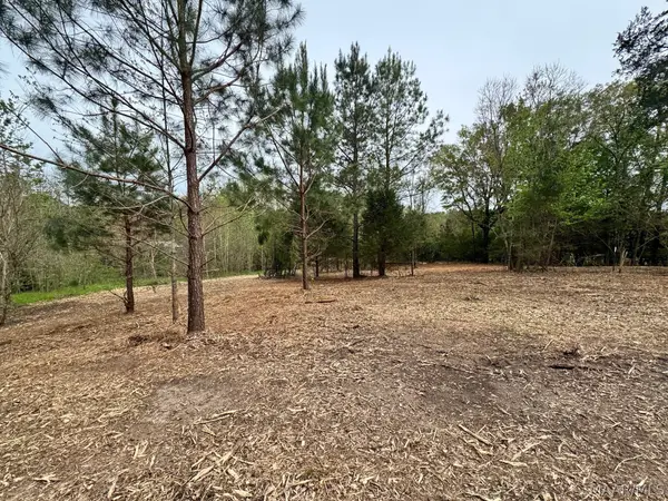 10 Sprague Junction Road W, Ramer, AL 36069