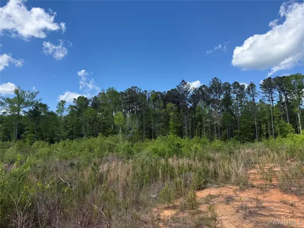 0 County Rd 45 Road, Rockford, AL 35136