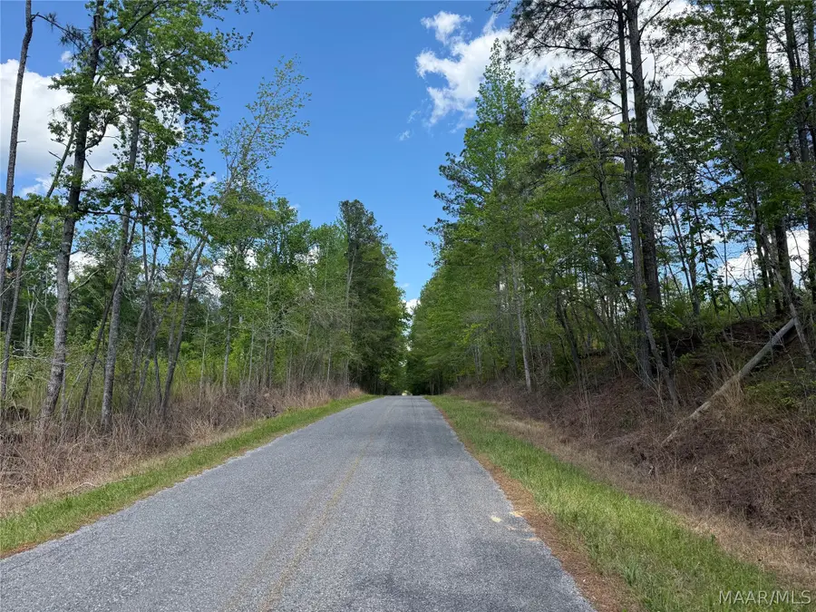 0 County Rd 45 Road, Rockford, AL 35136 - #3