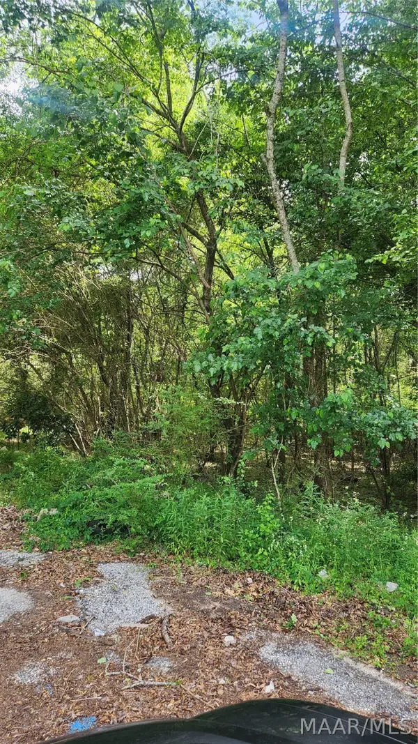 0000 Macon Drive, Tuskegee, AL 36083