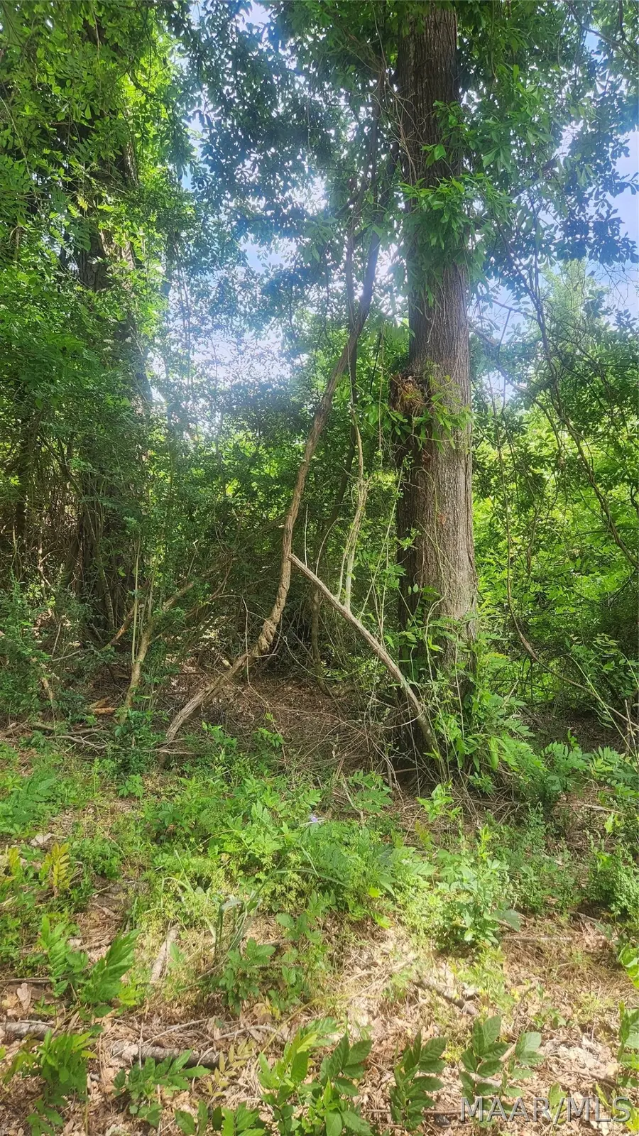 0000 Macon Drive, Tuskegee, AL 36083 - #2