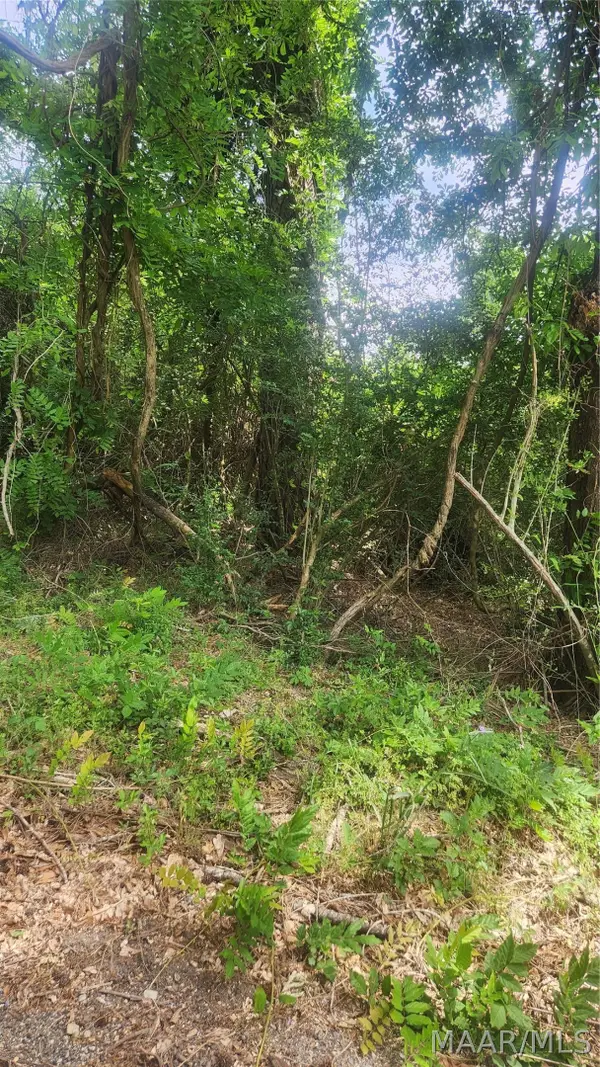 0000 Watkins Avenue, Tuskegee, AL 36083