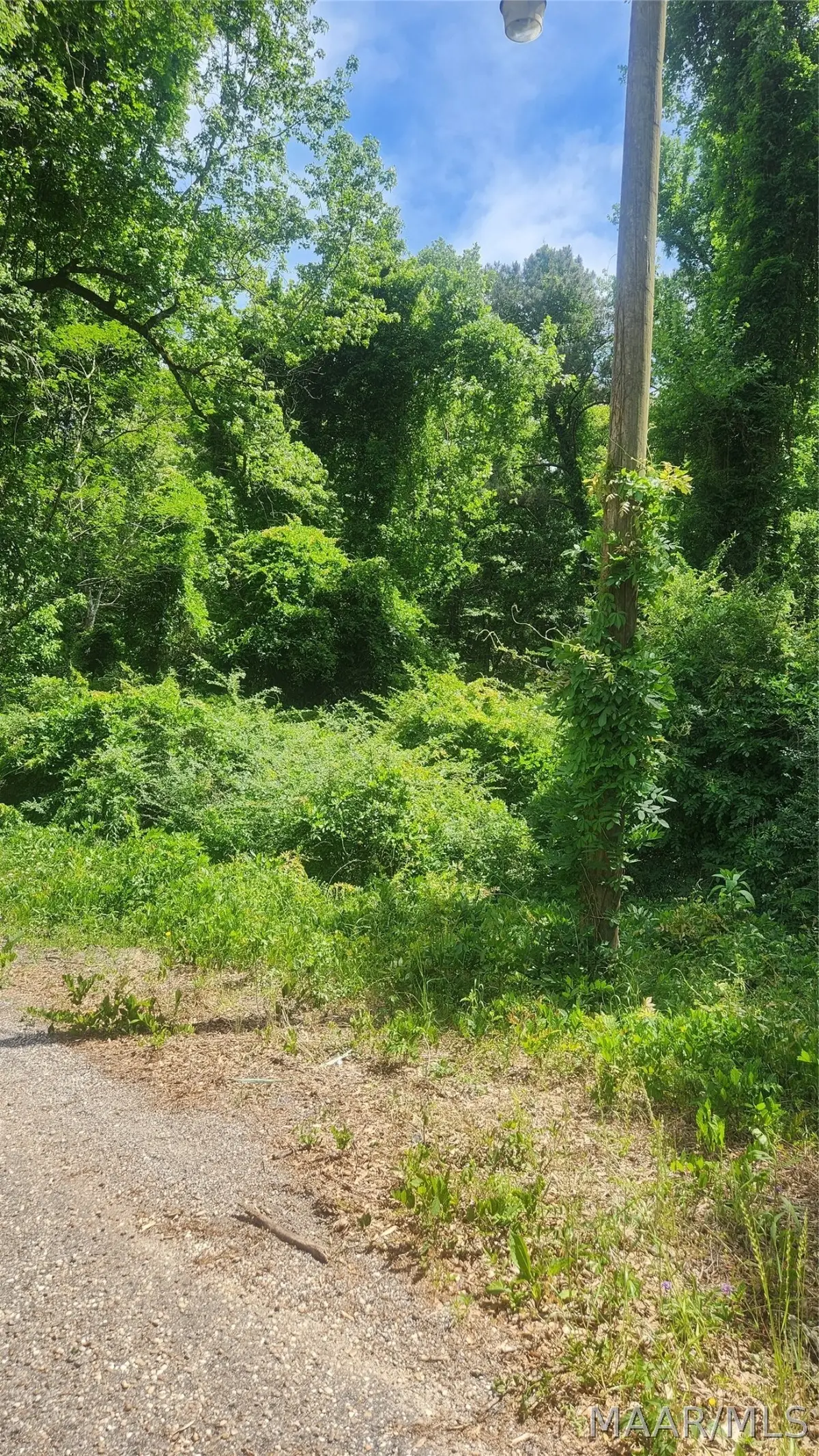 000 Watkins Street, Tuskegee, AL 36083 - #1