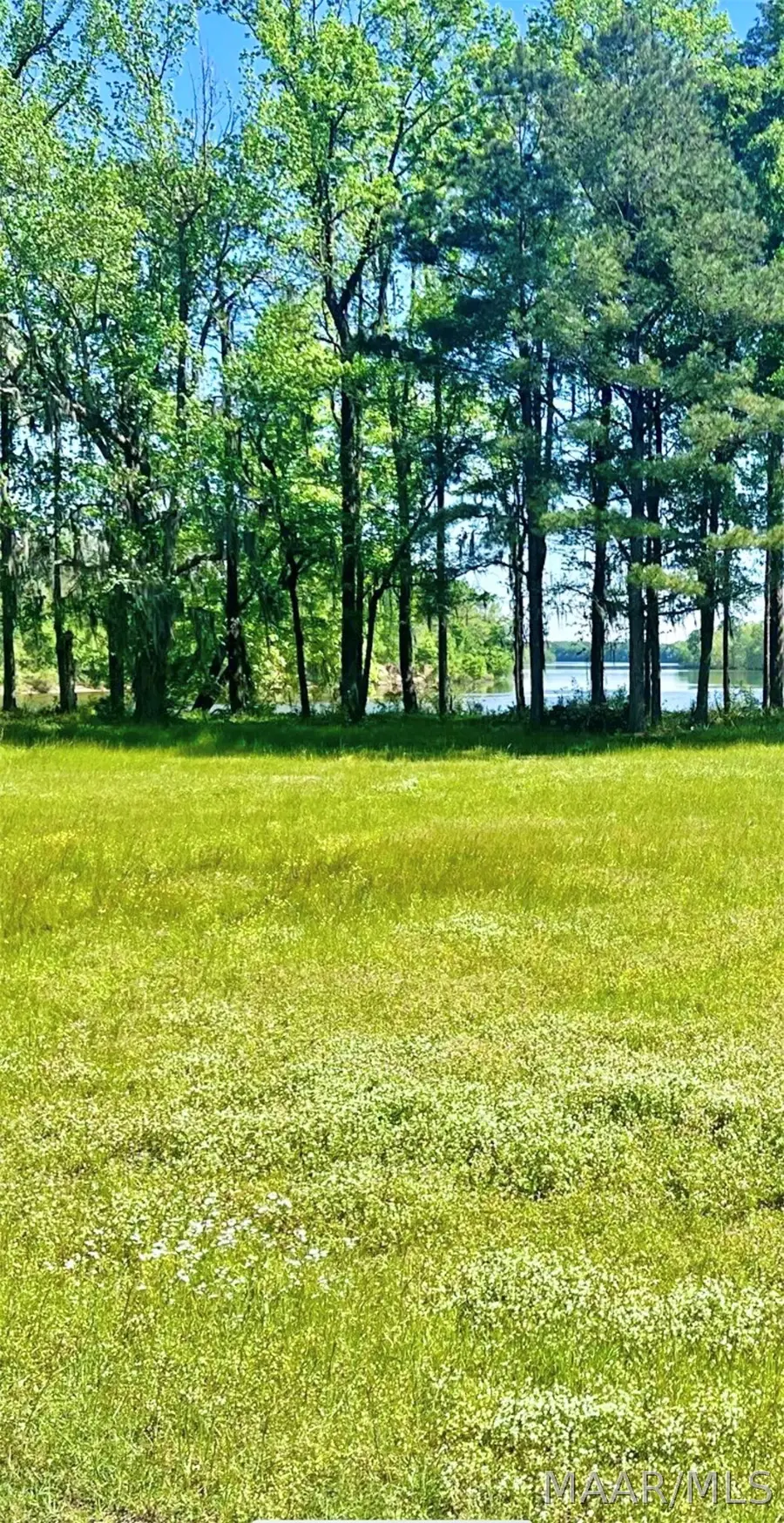 1000 Woodruff Trail, Montgomery, AL 36108 - #3