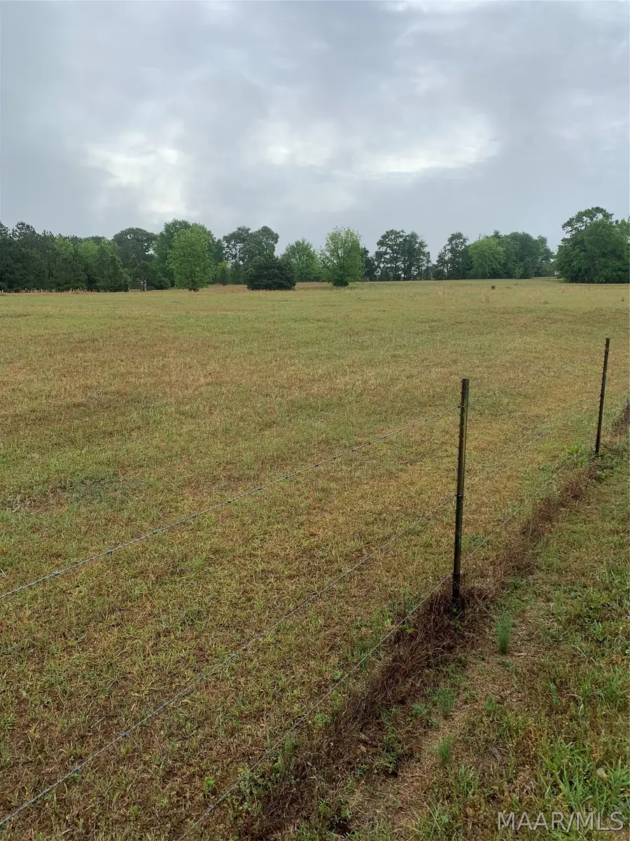 000 Tom Turner Road, Billingsley, AL 36006 - #2