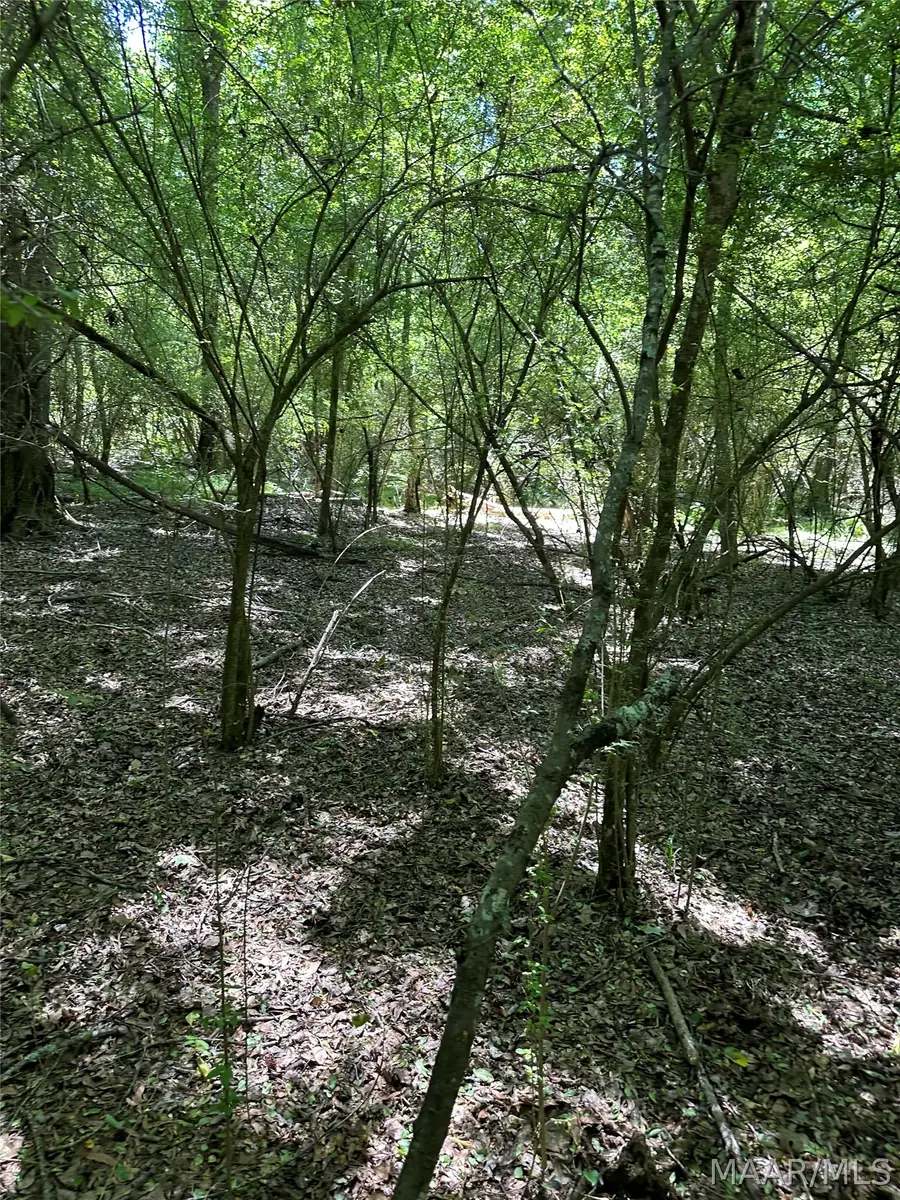 0000 Old Selma Road, Montgomery, AL 36108 - #2