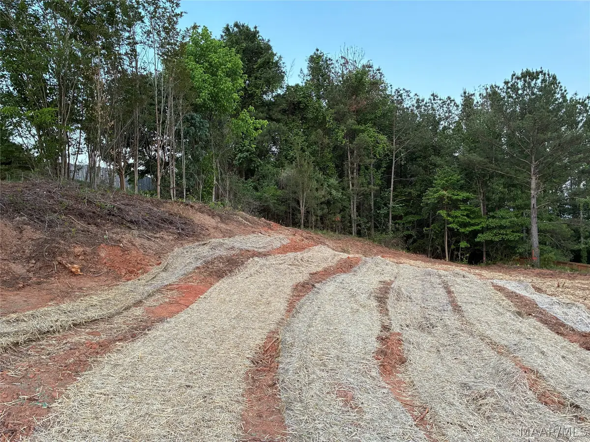 161 Forest Mountain Drive, Wetumpka, AL 36093 - #1