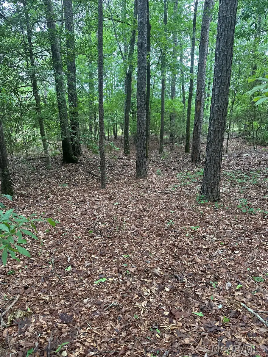 0000 County Road 77 Road, Billingsley, AL 36006 - #3