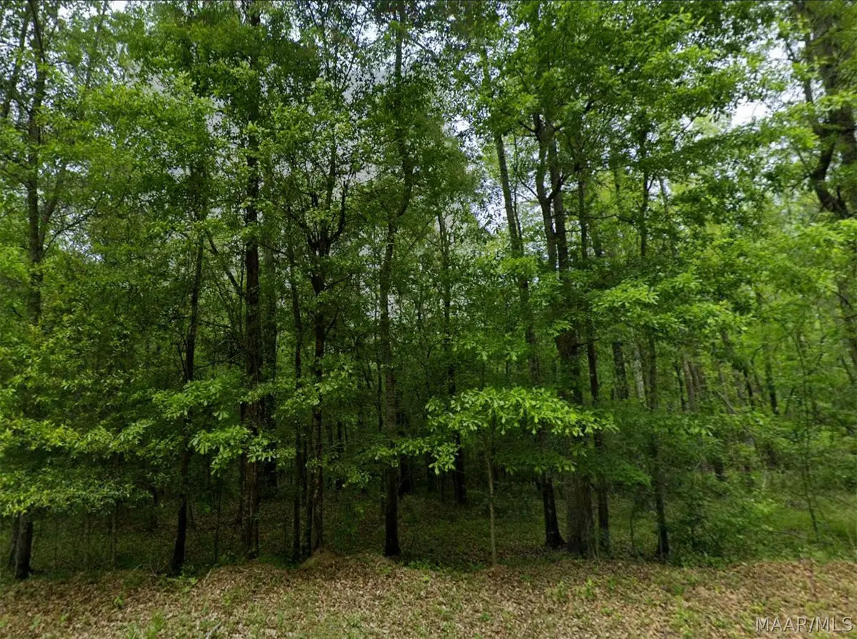 0 Pine Grove Road, Tuskegee, AL 36083 - #1