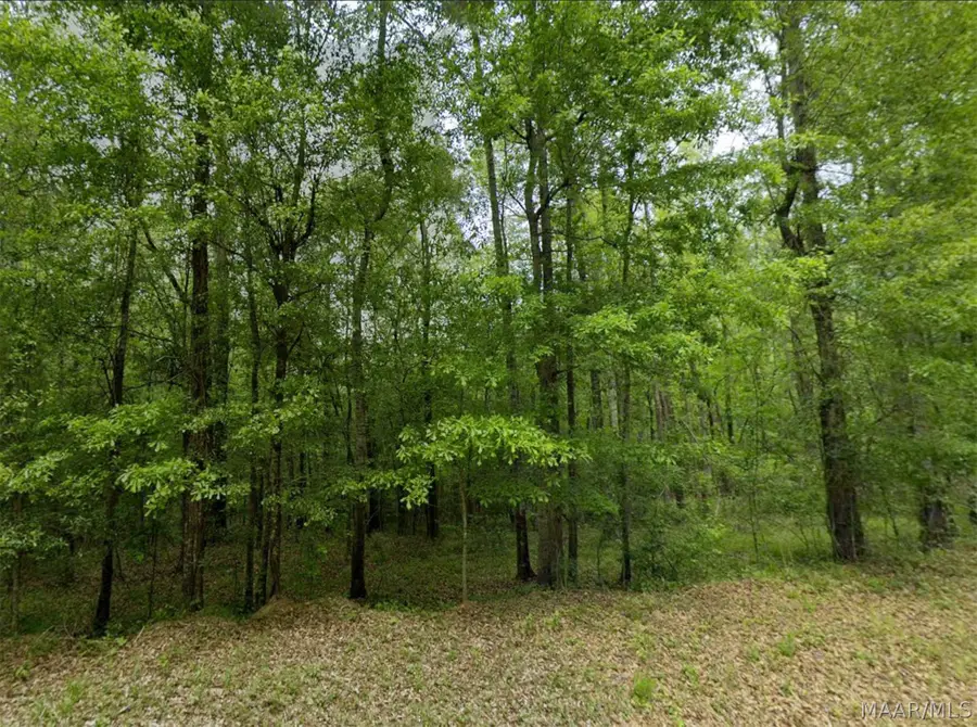 0 Pine Grove Road, Tuskegee, AL 36083 - #2