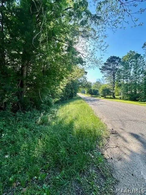 0 Sherling Lake Road, Greenville, AL 36037 - #1