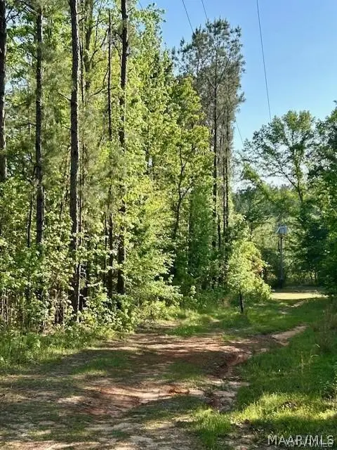 0 Sherling Lake Road, Greenville, AL 36037 - #2