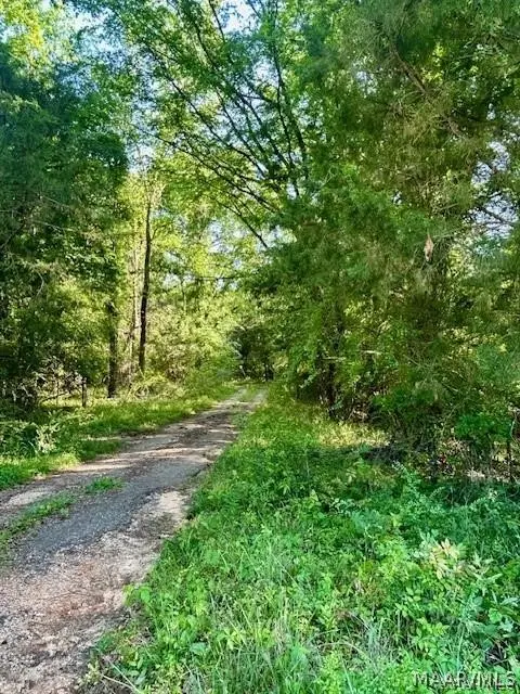 0 Sherling Lake Road, Greenville, AL 36037 - #3