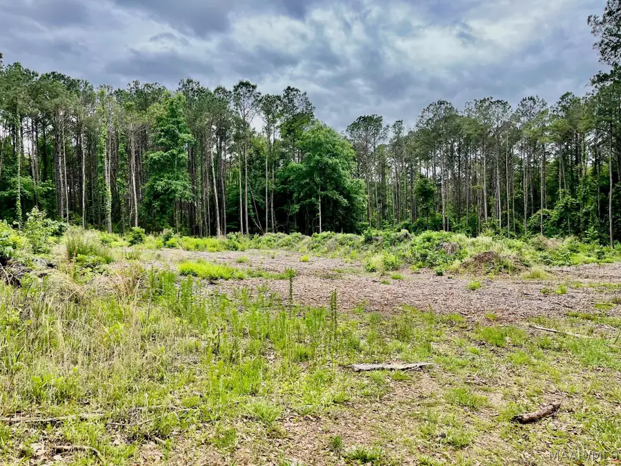 2367 Mitchell Creek Road, Wetumpka, AL 36093 - #3