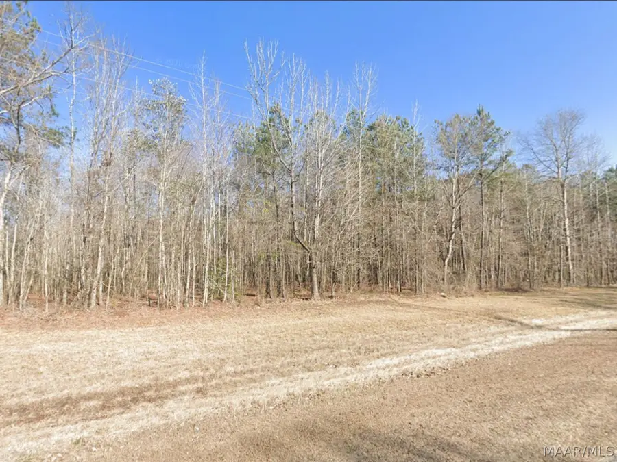2445 County Road 47, Tuskegee, AL 36083 - #2