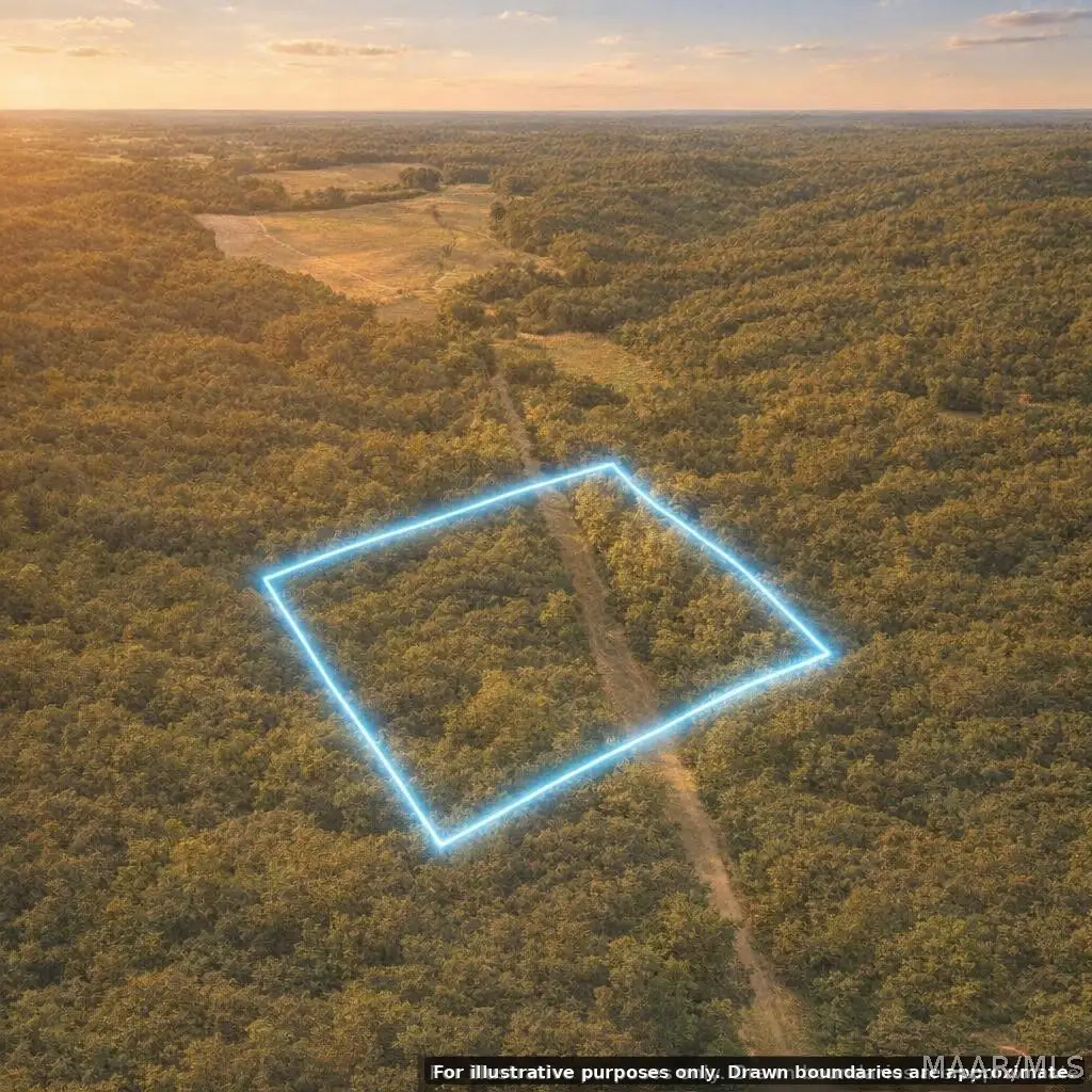 0 Lagrone Road, Moundville, AL 35474 - #1
