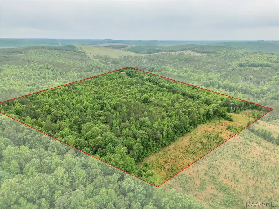 0 Lagrone Road, Moundville, AL 35474 - #3