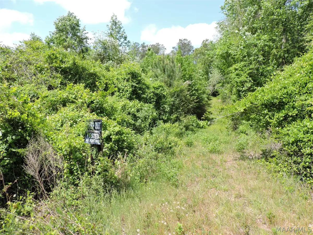 0 Davenport Road, Greenville, AL 36037 - #1