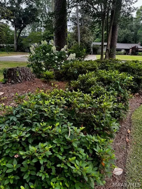 3433 Bankhead Avenue, Montgomery, AL 36111 - #2