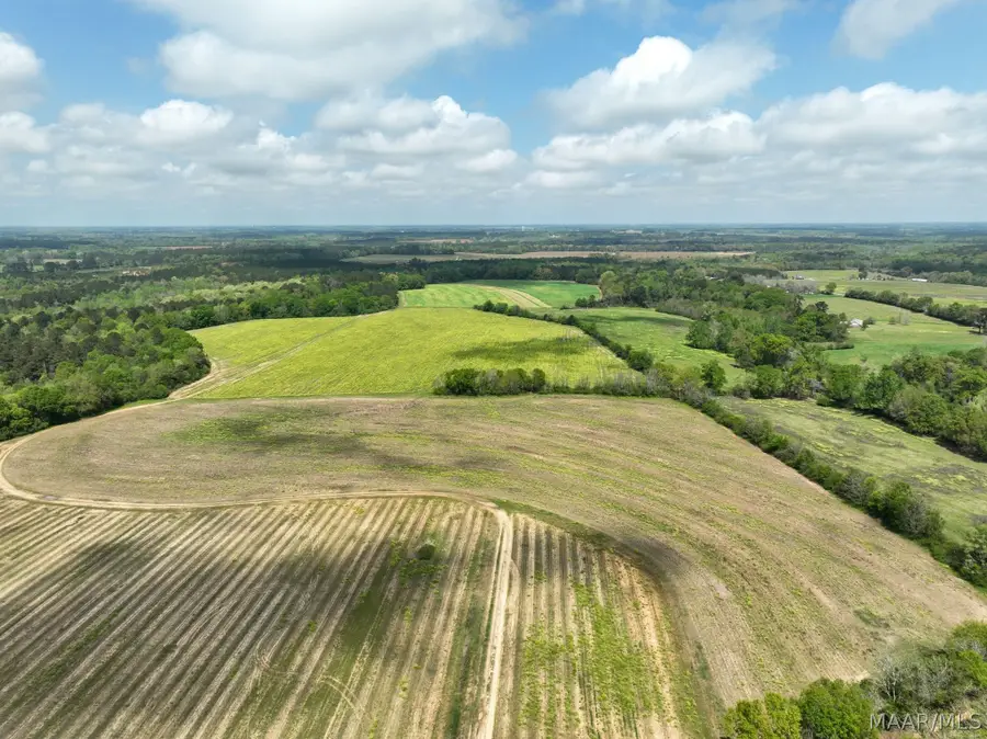 85 Omussee Road, Dothan, AL 36303 - #2