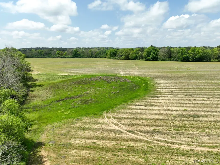85 Omussee Road, Dothan, AL 36303 - #3