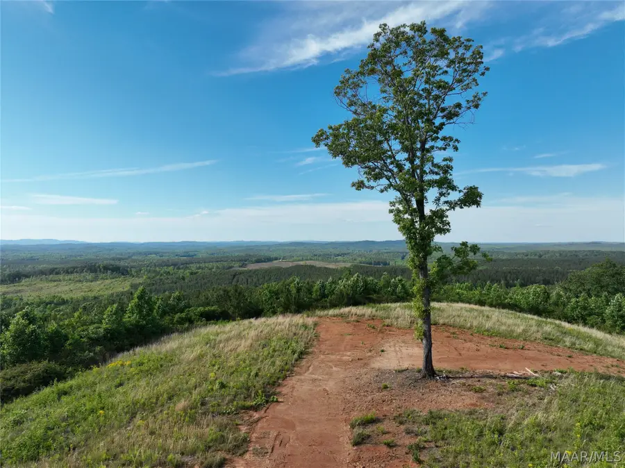 0 County Road 12, Heflin, AL 36264 - #2