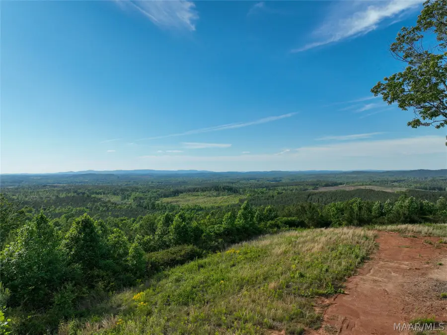0 County Road 12, Heflin, AL 36264 - #3