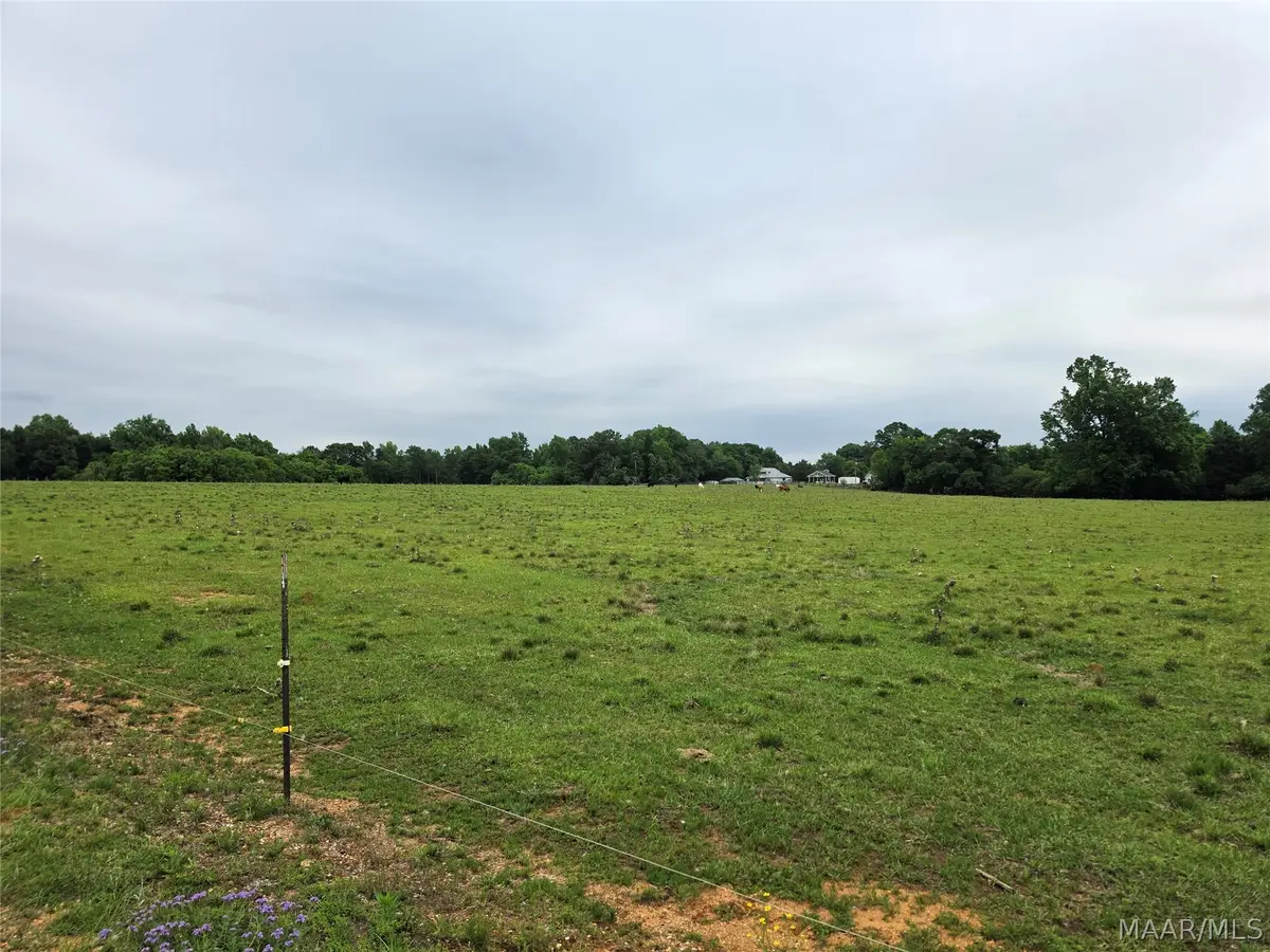 0 Womble Lane, Deatsville, AL 36022 - #1